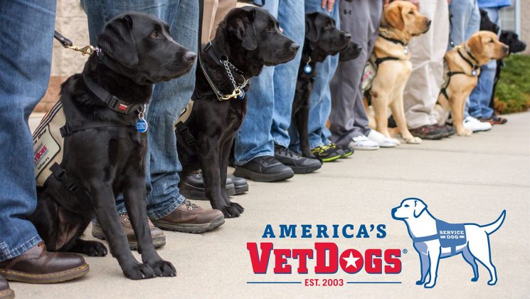 vetdogs