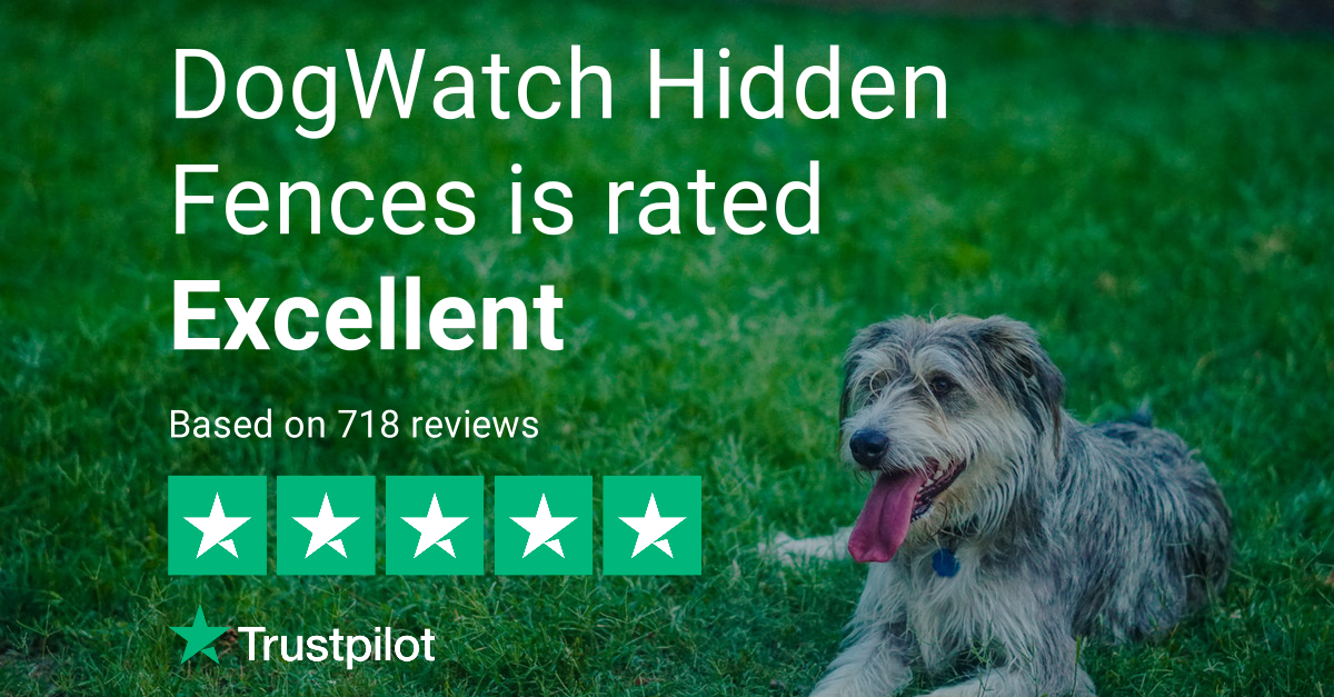 dogwatch hidden fence reviews