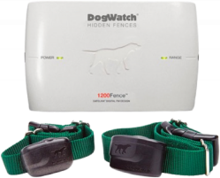 Dog watch shop electric fence