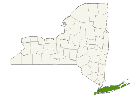 Fido’s Fences of Long Island service area map