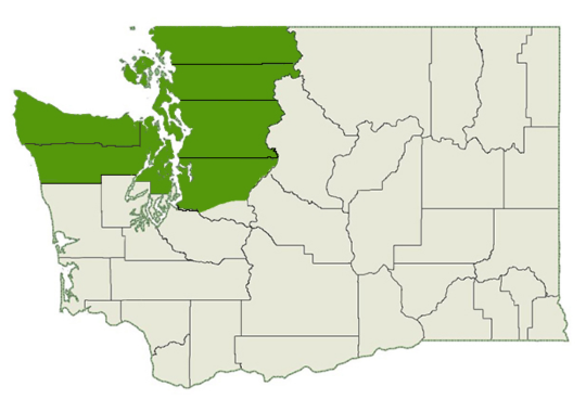 DogWatch of Puget Sound service area map