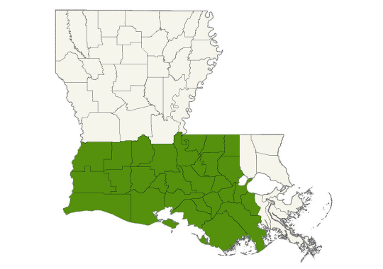 DogWatch of Acadiana service area map